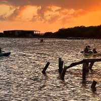 Shore Excursions