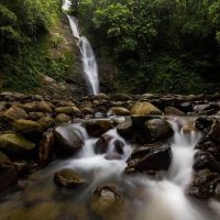 Shore Excursions