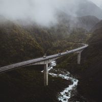 Nature & Wildlife