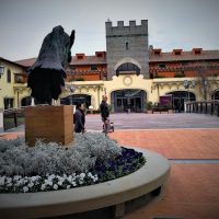 Shopping & Fashion