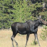 Multi-day & Extended Tours