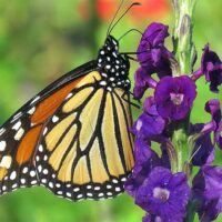 Full-day Tours