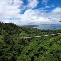 Half-day Tours