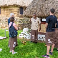 Full-day Tours