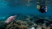 Bucket list/Lifetime Trip