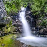 Eco Tours