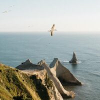 4WD, ATV & Off-Road Tours