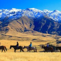 Horseback Riding