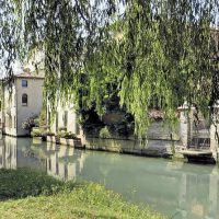 Cultural Tours