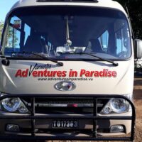 Bus Services
