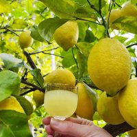 Sustainable Tours