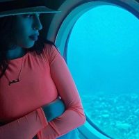 Submarine Tours