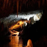 Eco Tours