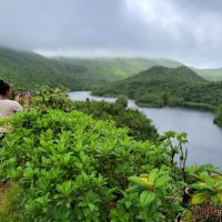 Private & Custom Tours