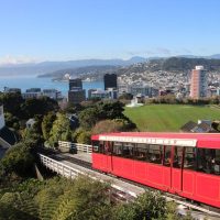 Trolley Tours