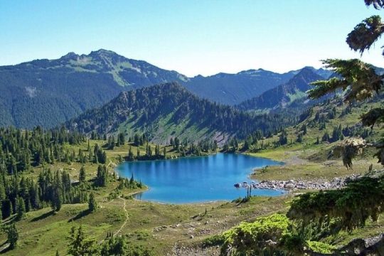 New Year’s Eve in Olympic National Park