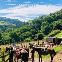 Horseback Riding