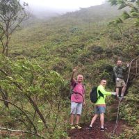 Private Sightseeing Tours