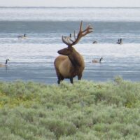 Multi-day & Extended Tours