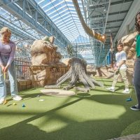 Theme Park Tickets & Tours