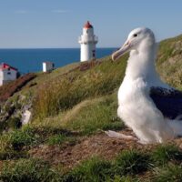 Walking & Biking Tours