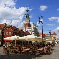 Private & Custom Tours