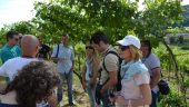 A great trip to Valpolicella and Lake Garda