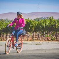 Bike Rentals