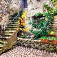 Bus & Minivan Tours
