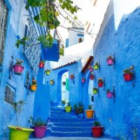 Overnight Tours
