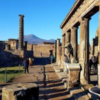 Bus & Minivan Tours