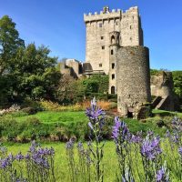 Ports of Call Tours