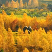 Eco Tours