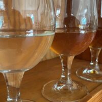 Wine Tasting & Winery Tours