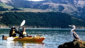 Akaroa Kayaking