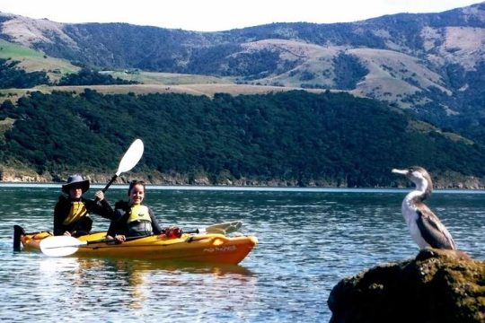 Easter in Akaroa