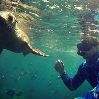 Full-day Tours