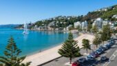 A pleasant day in Wellington.