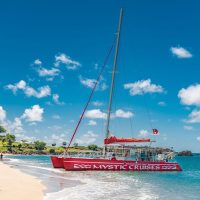 Day Cruises
