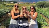 Loved our Korcula wine tasting experience