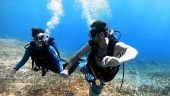 Best diving experience in Cozumel