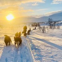 Multi-day & Extended Tours