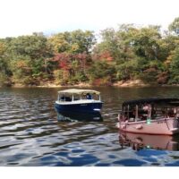 Weddings & Honeymoons