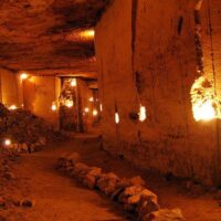 Private & Custom Tours