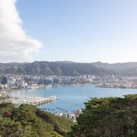 Bus & Minivan Tours