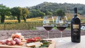 Beautiful winery