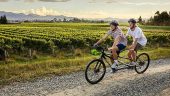 A wonderful day of biking and wine tasting
