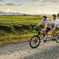 Wine Tasting & Winery Tours