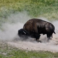 4WD, ATV & Off-Road Tours