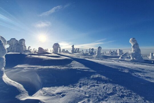 Halloween in Ruka
